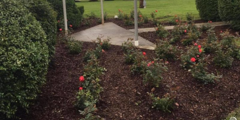 Mulching in Orange, Virginia