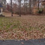 Yard Debris Removal