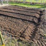 Land Clearing