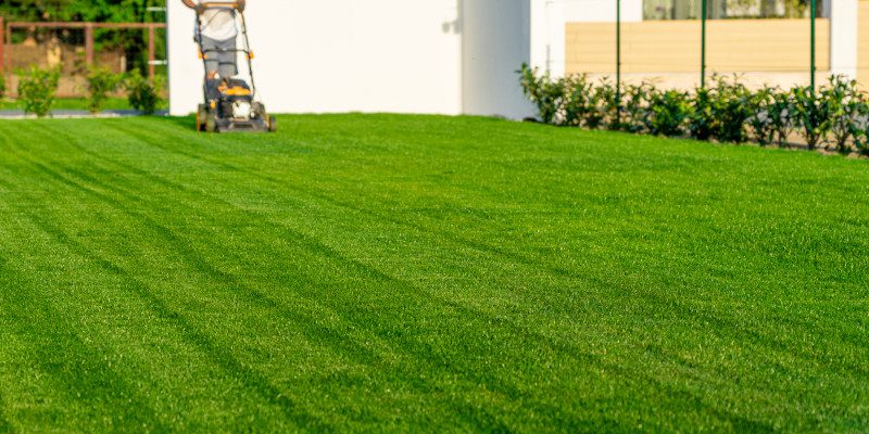 Benefits of Regular Lawn Care for Airbnb Properties
