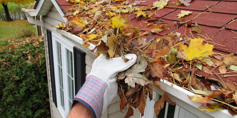 Why You Should Leave Your Gutter Cleaning Needs to Us