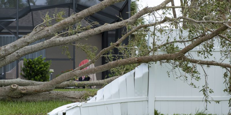 What to Do When Your Yard Has Been Affected by Storm Damage