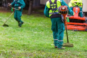 Reasons to Use Professional Lawn Care Services
