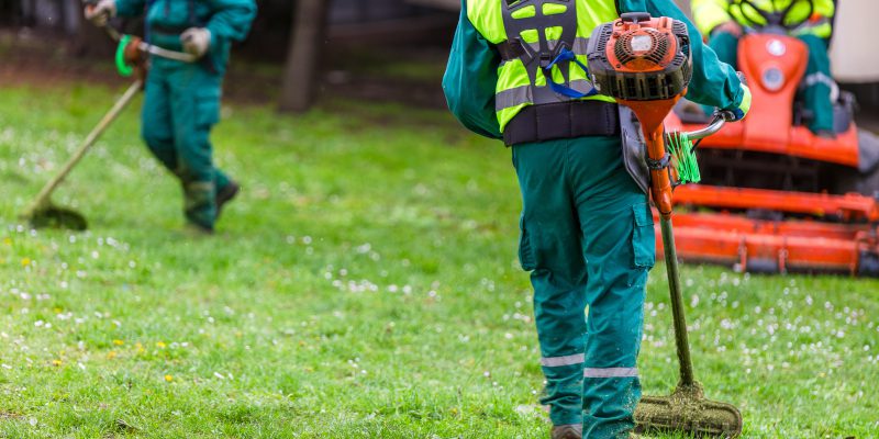 Reasons to Use Professional Lawn Care Services