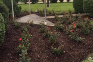 When to Call the Landscaper