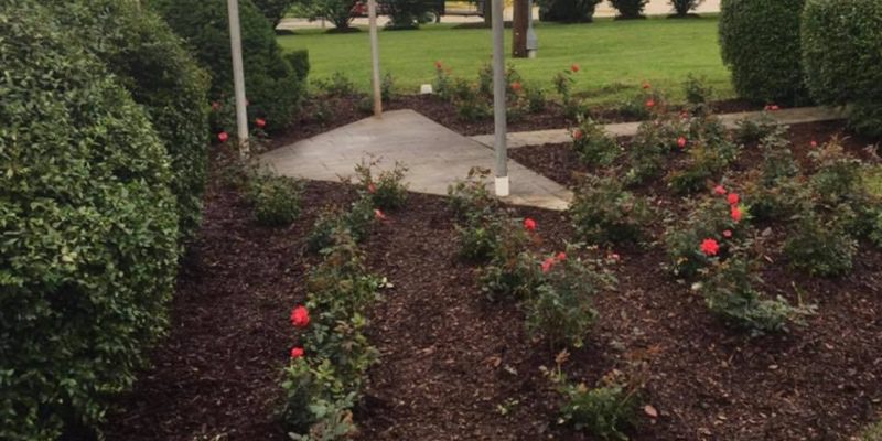 When to Call the Landscaper