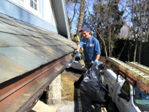 Why is Gutter Cleaning Important?