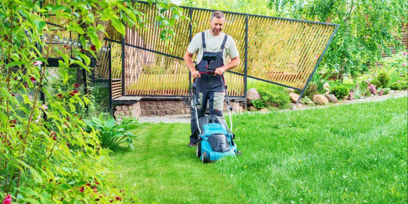 What to Expect from Our Lawn Maintenance Services